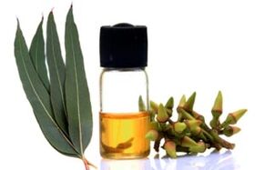 Eucalyptus oil for the treatment of onsmokitia